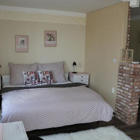 Apartmany U Basty Hlučín 객실 사진